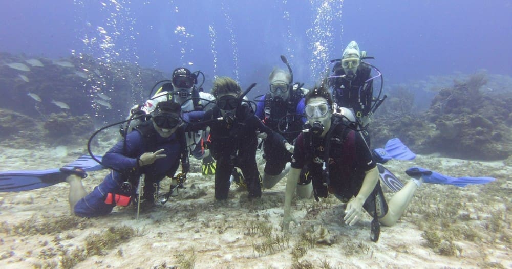 cozumel diving 